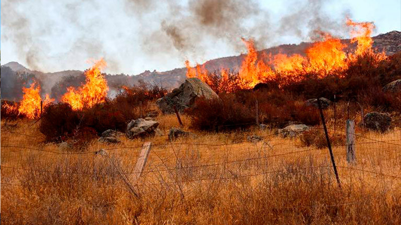 Reportan al menos diez incendios forestales activos en Durango