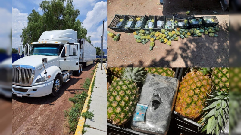 Intentan ocultar 310 kilos de cocaína entre piñas, pero los asegura la GN en Puebla 