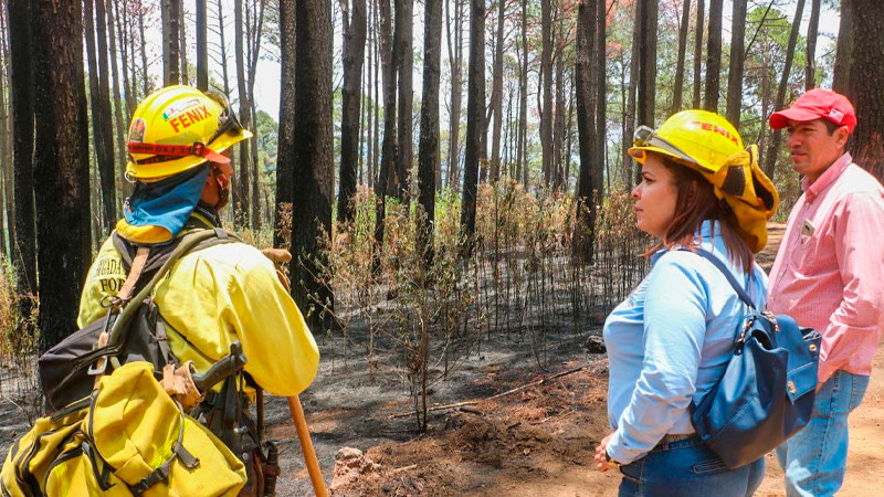 Mantiene Seduma acciones para prevenir incendios forestales 