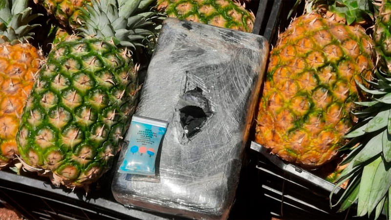 Interceptan cargamento de cocaína oculto entre rejillas de fruta, en Puebla