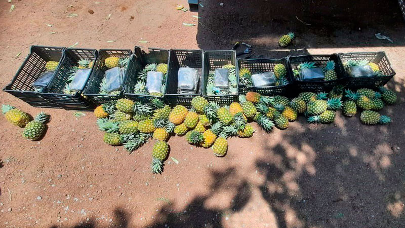 Interceptan cargamento de cocaína oculto entre rejillas de fruta, en Puebla