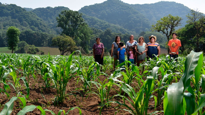 Agricultura, clave para combatir el cambio climático: Villalobos Arámbula 