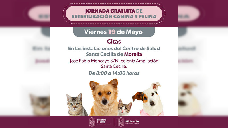 Anuncia Salud Michoacán jornada de esterilización canina y felina en Morelia 