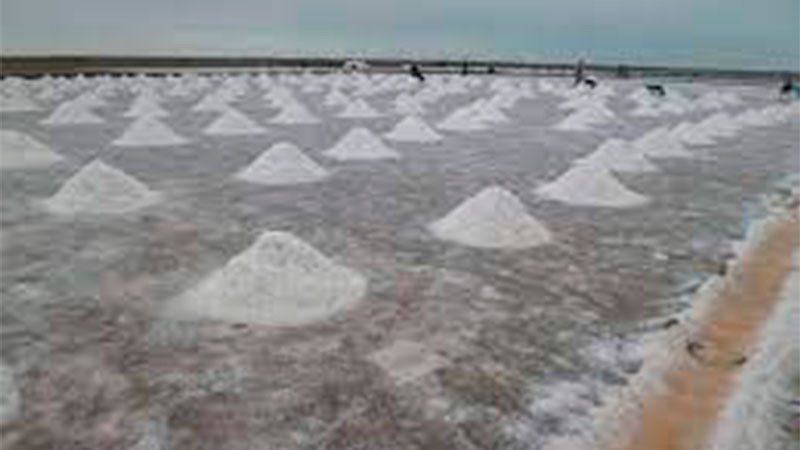 Altamira, Tamaulipas podría tener un Museo de la Sal 