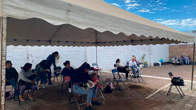Reporta Salud Michoacán casi 6 mil esterilizaciones caninas y felinas durante 2023