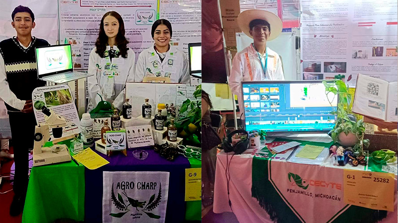 Ganan estudiantes del Cecytem 4 medallas en concurso nacional de ciencia 