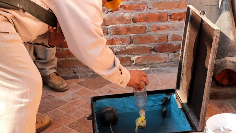 Michoacán cumple 6 años libre de zika y chikungunya: Salud Michoacán 
