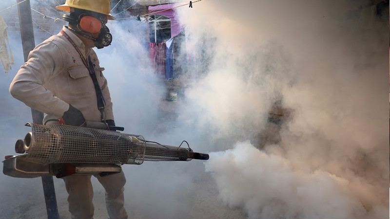 Michoacán cumple 6 años libre de zika y chikungunya: Salud Michoacán 