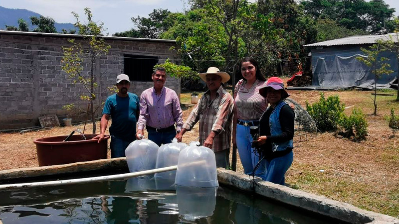 Entrega Compesca 16 mil crías a productores acuícolas de Ario de Rosales