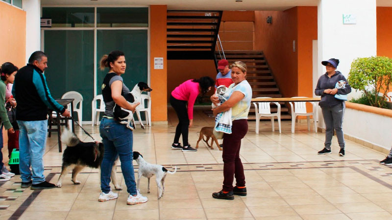 Gran respuesta a la campaña de esterilización canina en Quiroga