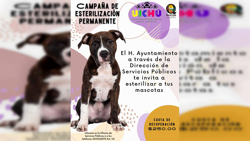 Gran respuesta a la campaña de esterilización canina en Quiroga
