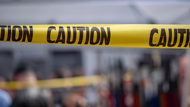 En California, hombre muere arrollado tras ayudar a patitos a cruzar la calle 