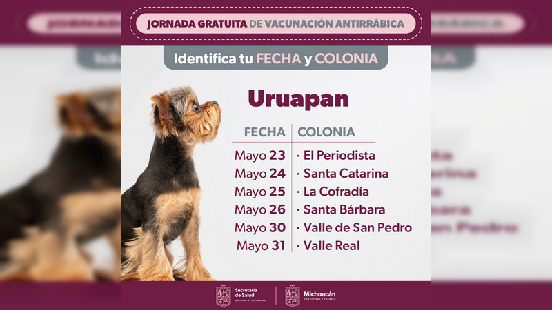 Arranca en Uruapan vacunación antirrábica canina y felina