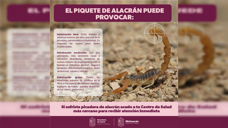 Atendidas por Salud Michoacán, más de 3 mil picaduras de alacrán en lo que va de 2023  