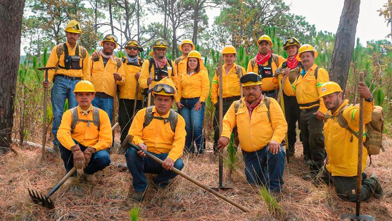 Un éxito el Programa Municipal de Restauración y Reforestación Focalizada en Uruapan 