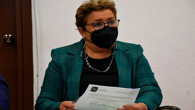 Ilegal el dictamen de remoción del auditor: Guillermina Ríos 