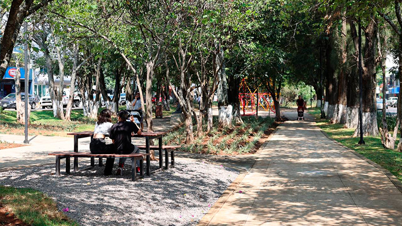 Parque lineal del Bulevar García de León, de primer mundo: Alfonso Martínez