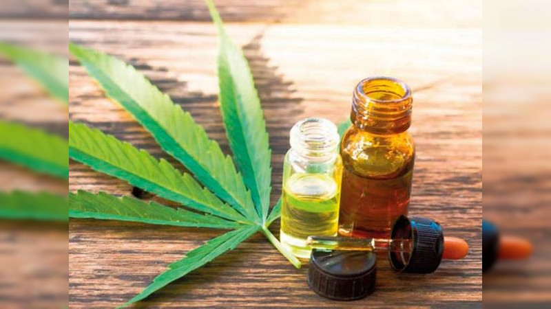 Participa Salud Michoacán en aplicación de encuesta sobre uso y consumo de cannabis