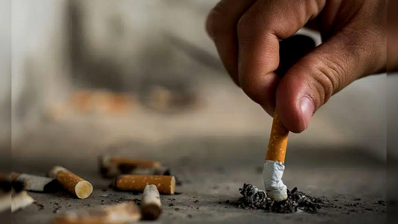 OMS reconoce a investigadora del INSP por contribuciones al control del tabaco 