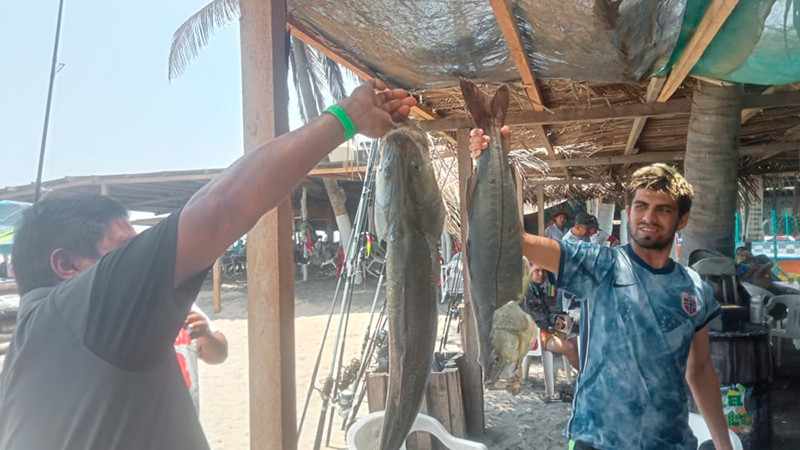 Concluyó torneo de pesca deportiva en Lázaro Cárdenas con 140 competidores: Compesca