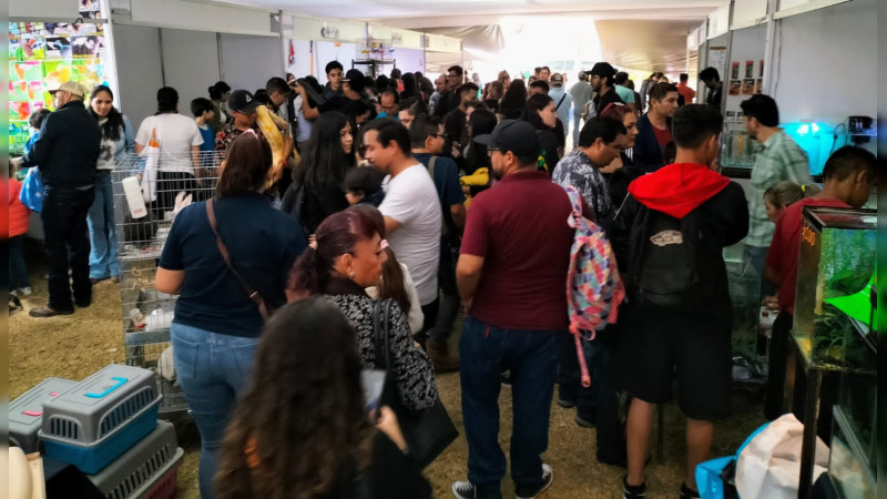 Con éxito concluyen 2º Festival del Ate y 3ª Expo Acuario