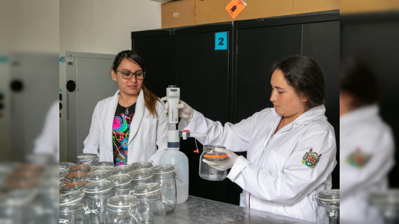 Crea Universidad Michoacana oficina de Protección Intelectual e Industrial