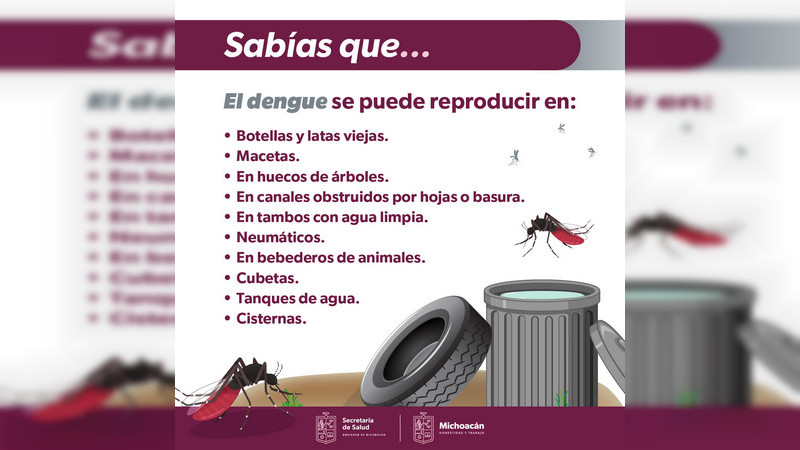 Salud Michoacán ha realizado casi medio millón de acciones contra el dengue