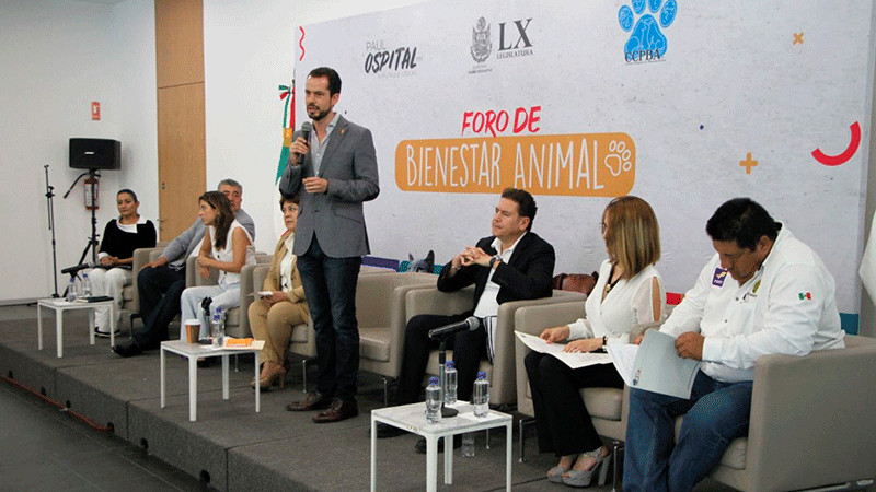 Crearán ley para terminar criaderos clandestinos de perros en Querétaro  