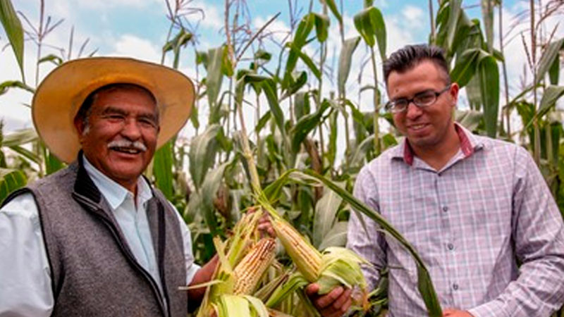 Sumarán más de 1.8 millones de beneficiarios de Producción para el Bienestar; representa avance de 93% 