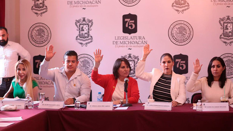 Claridad y transparencia en proceso para elegir a nuevo Comisionado del IMAIP: Dip. Lariza Pérez 