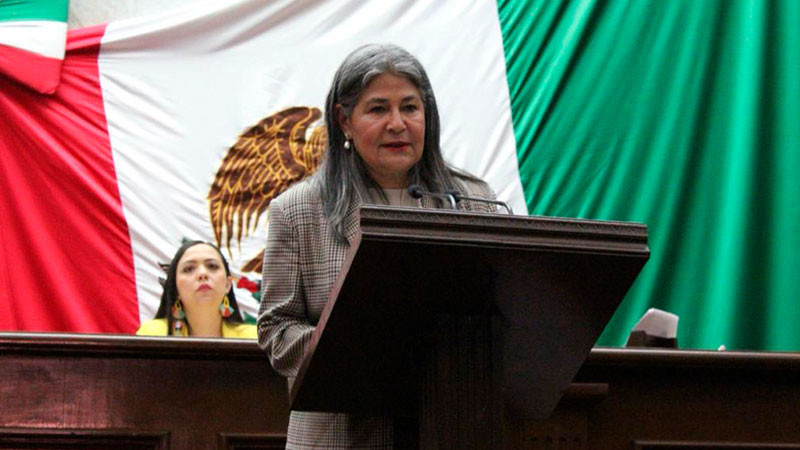 Presenta Mayela Salas iniciativa para actualizar de software en plataformas digitales del Gobierno de Michoacán  