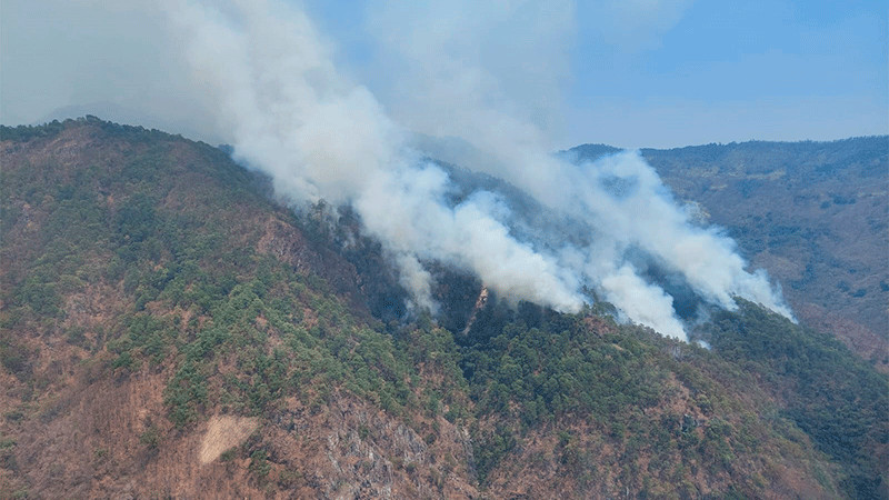 Atiende Gobierno de Michoacán incendio forestal en Madero 