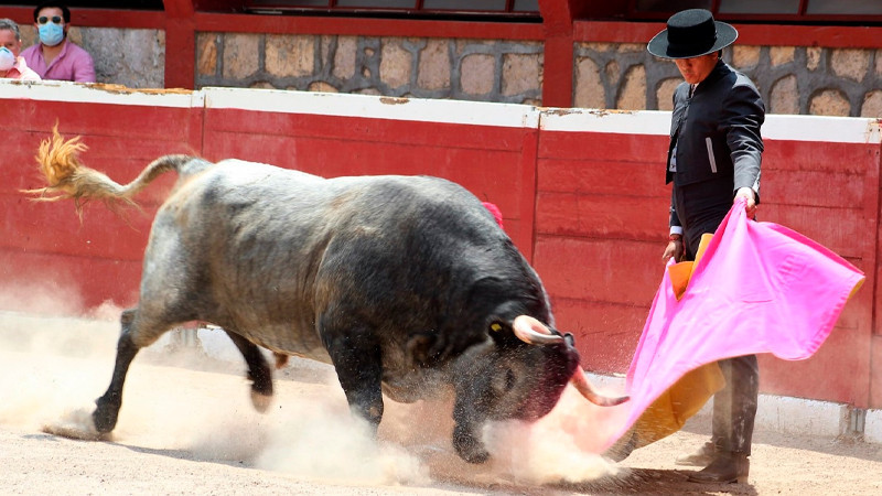 Omar Villaseñor, Juan Chávez, El Breco II y El Moso Tentarán Terneras hoy en La Salud