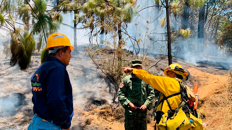 Brigadas forestales de Uruapan, en alerta máxima ante ola de calor en Michoacán