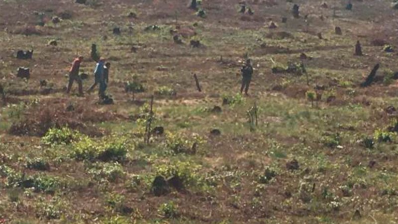 Se han realizado ya 25 dictámenes de sanción por cambio de uso de suelo en Morelia 