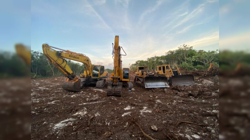 Obras del Tren Maya ha generado una “destrucción  brutal” de la selva: CEMDA 