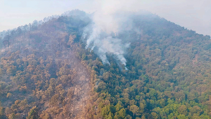 Más de 400 brigadistas combaten incendio forestal en cerro Grande 