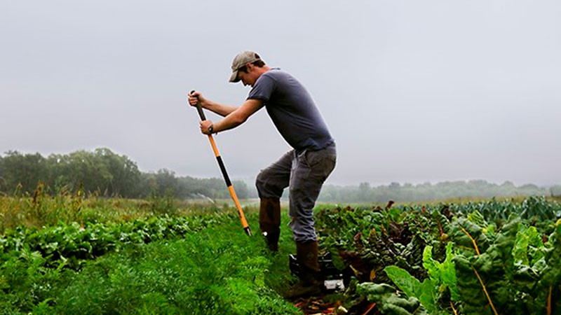 Impulsan Agricultura y Gobierno de Quintana Roo desarrollo productivo del sector primario 