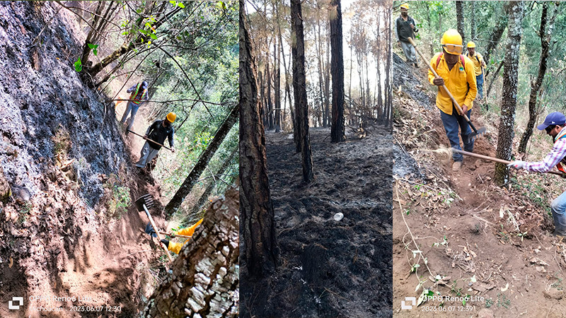 Controlado en un 100% el incendio forestal en el cerro de Patamban: Cofom 