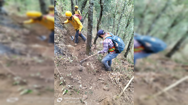 Tres incidentes con voluntarios en la atención a incendios forestales en Michoacán: COFOM 