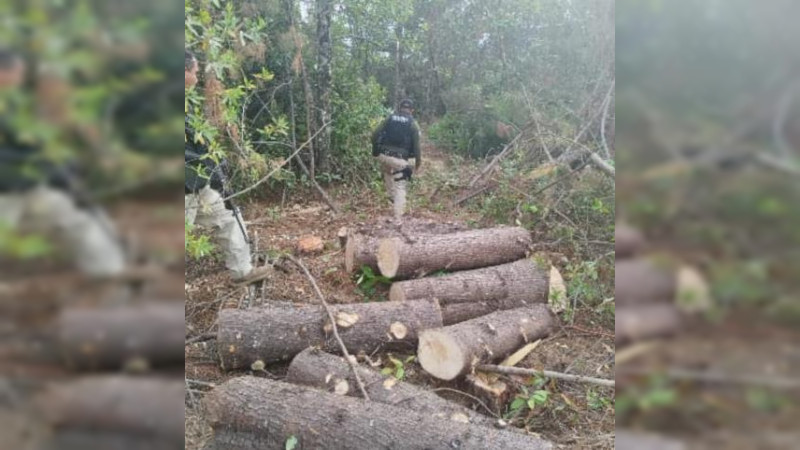 Guardia Civil asegura 42 rollos de madera, en Zitácuaro, Michoacán 