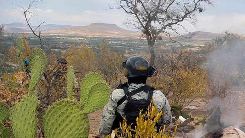 Destruyen campamento clandestino en zona montañosa de Zacatecas 
