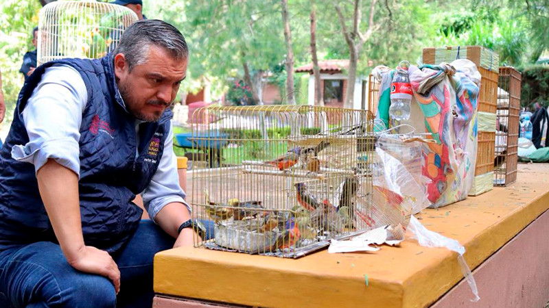 Recibe Zoológico 40 aves decomisadas tras operativo en mercados de Morelia