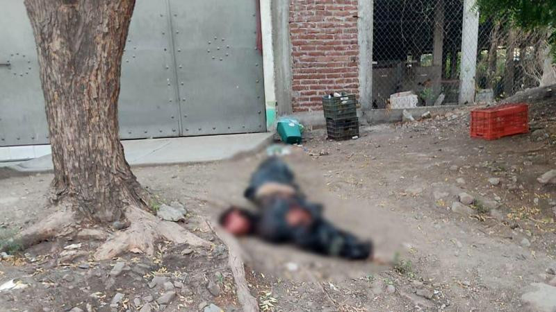 Identifican cuerpo que había sido abandonado en bolsas de plástico en Apatzingán