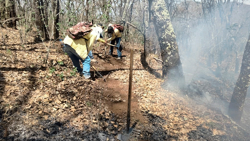 Incendio forestal en Villa Jiménez, controlado al 100% con ayuda de helicóptero: Cofom 
