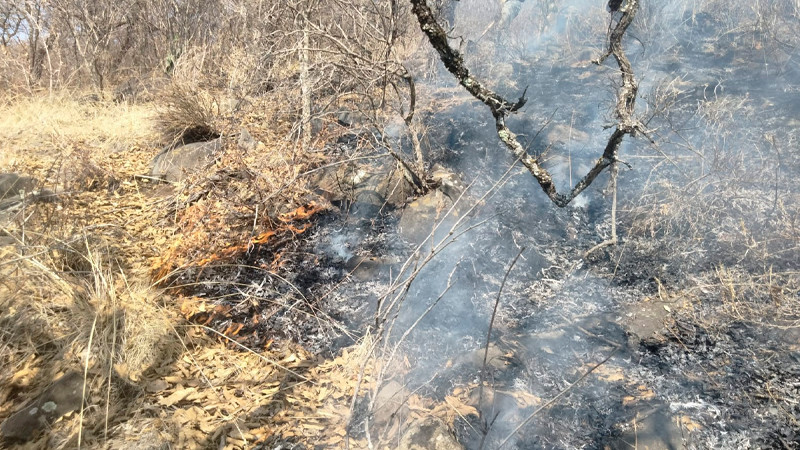 Reportan dos incendios forestales activos en Michoacán: COFOM 