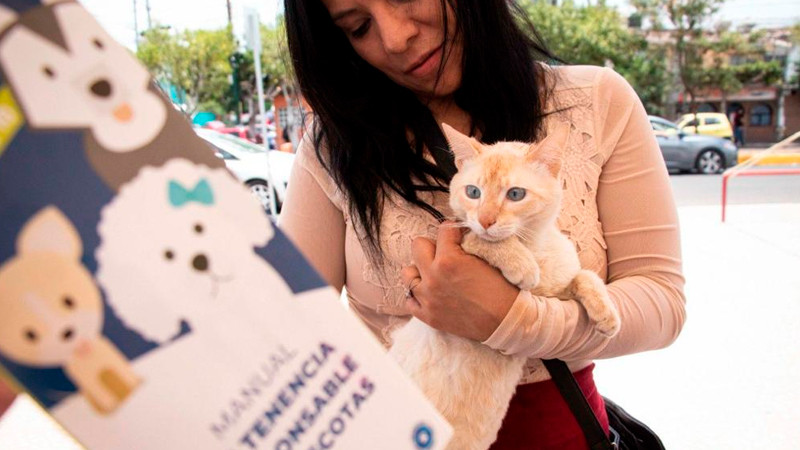 Ley de Bienestar Animal, para zonas pet friendly en Querétaro: Diputado Enrique Correa 