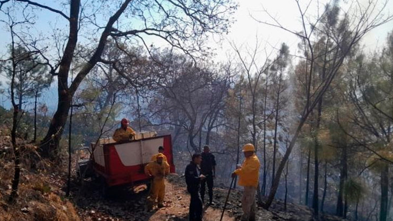 Coadyuva personal de SSP para sofocar incendio forestal, en Tacámbaro