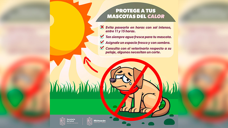 Protege a tus mascotas del calor con estas recomendaciones de la Salud Michoacán 
