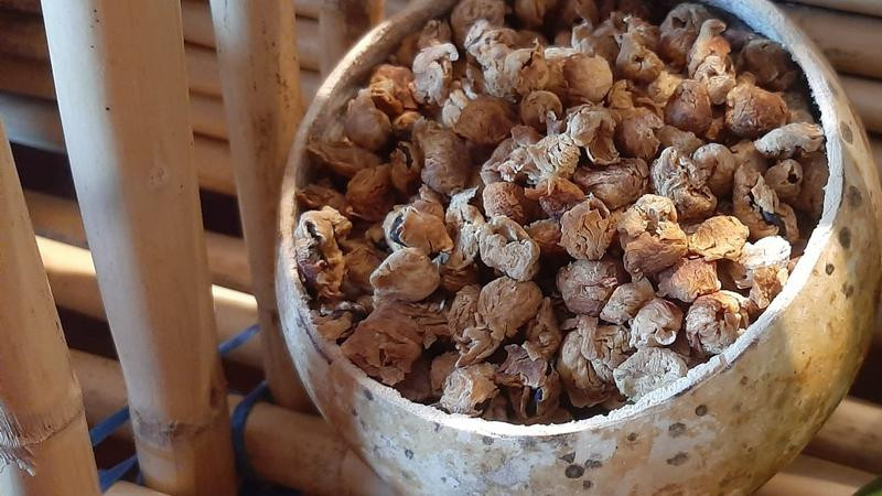 Invita Sectur a disfrutar del Festival de San Juan en Huetamo 